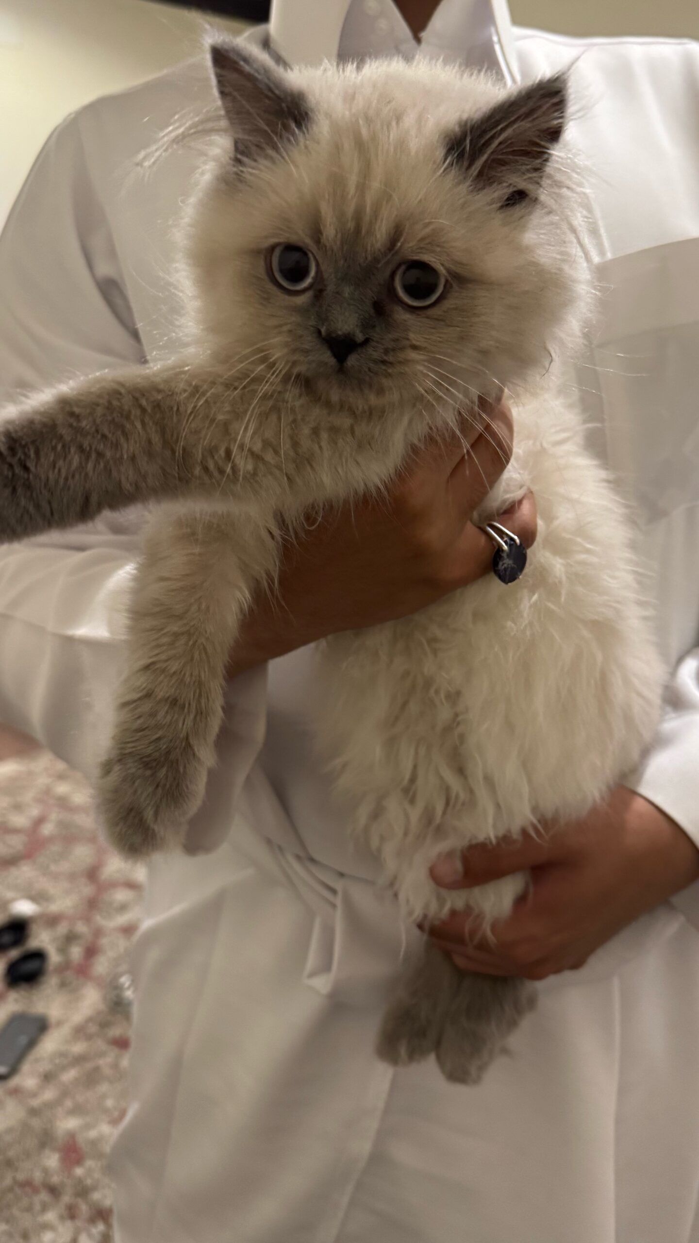 روز