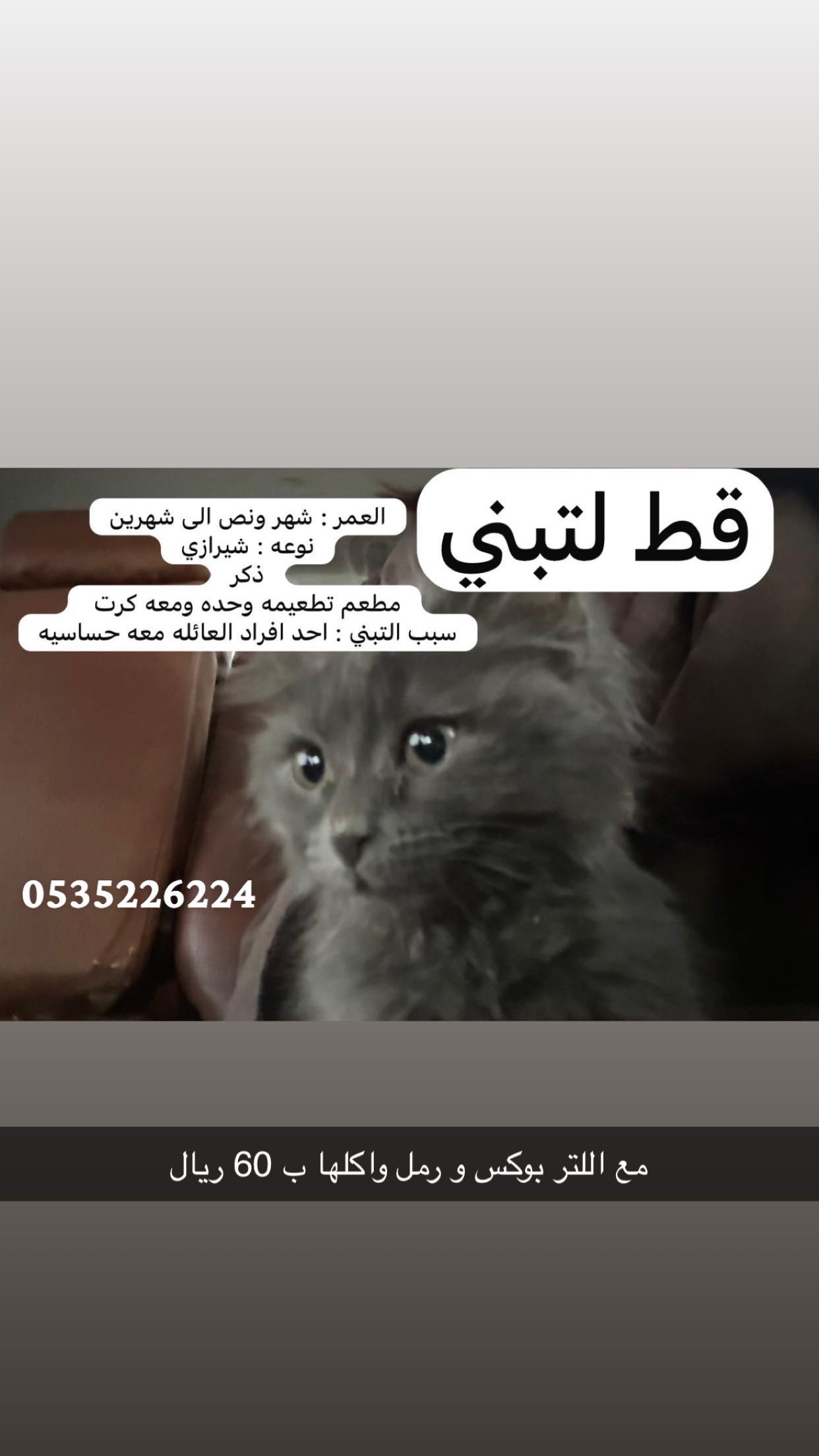 توم