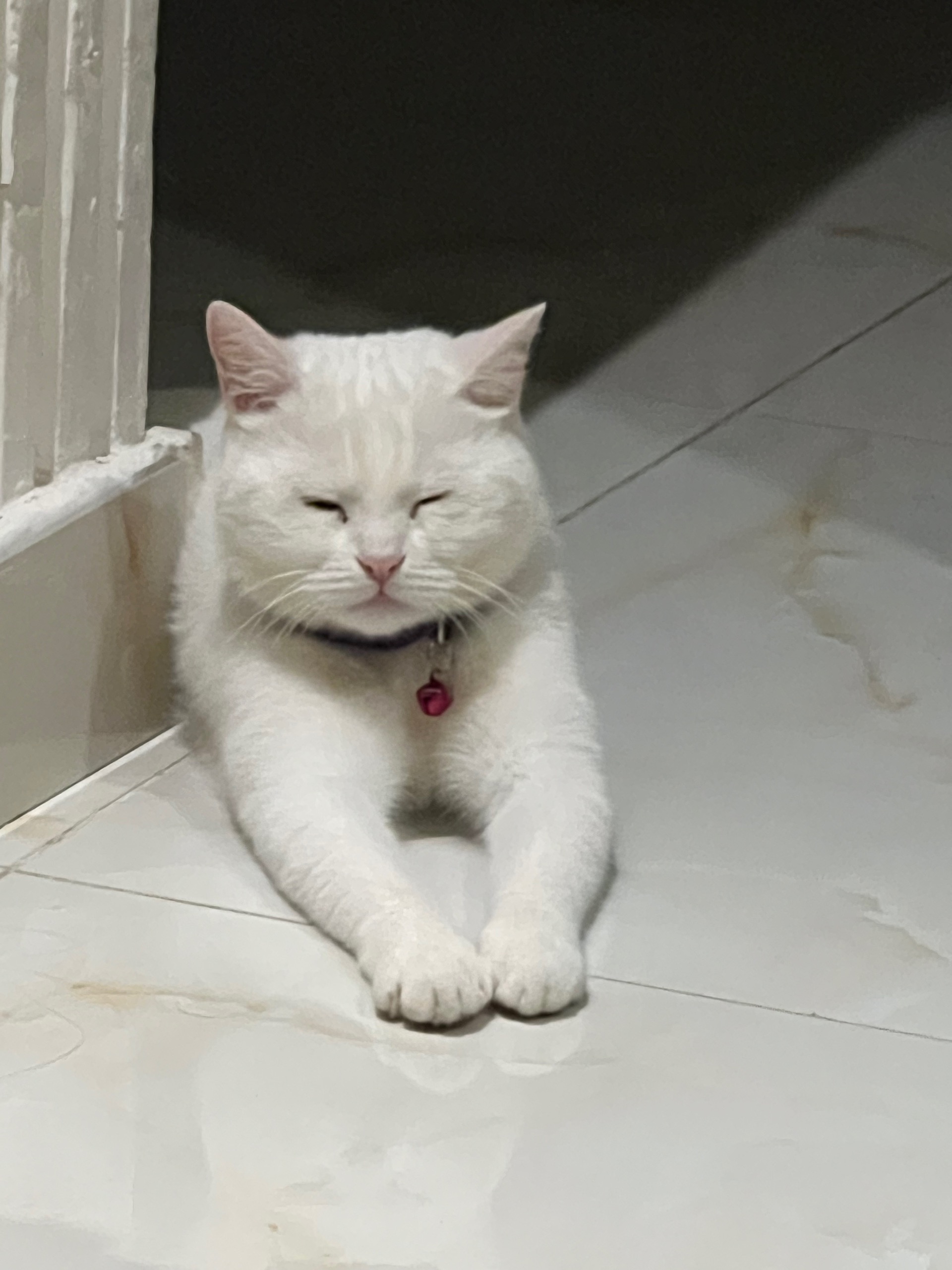 ميمي