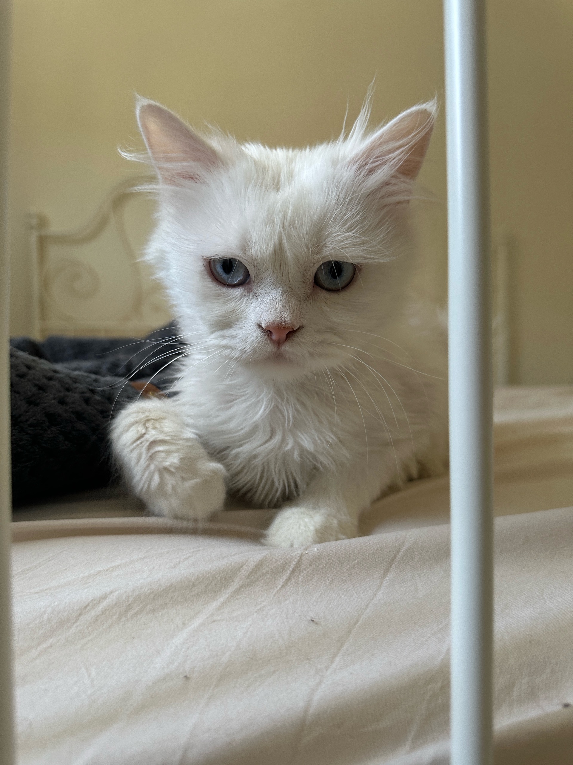 No name yet
