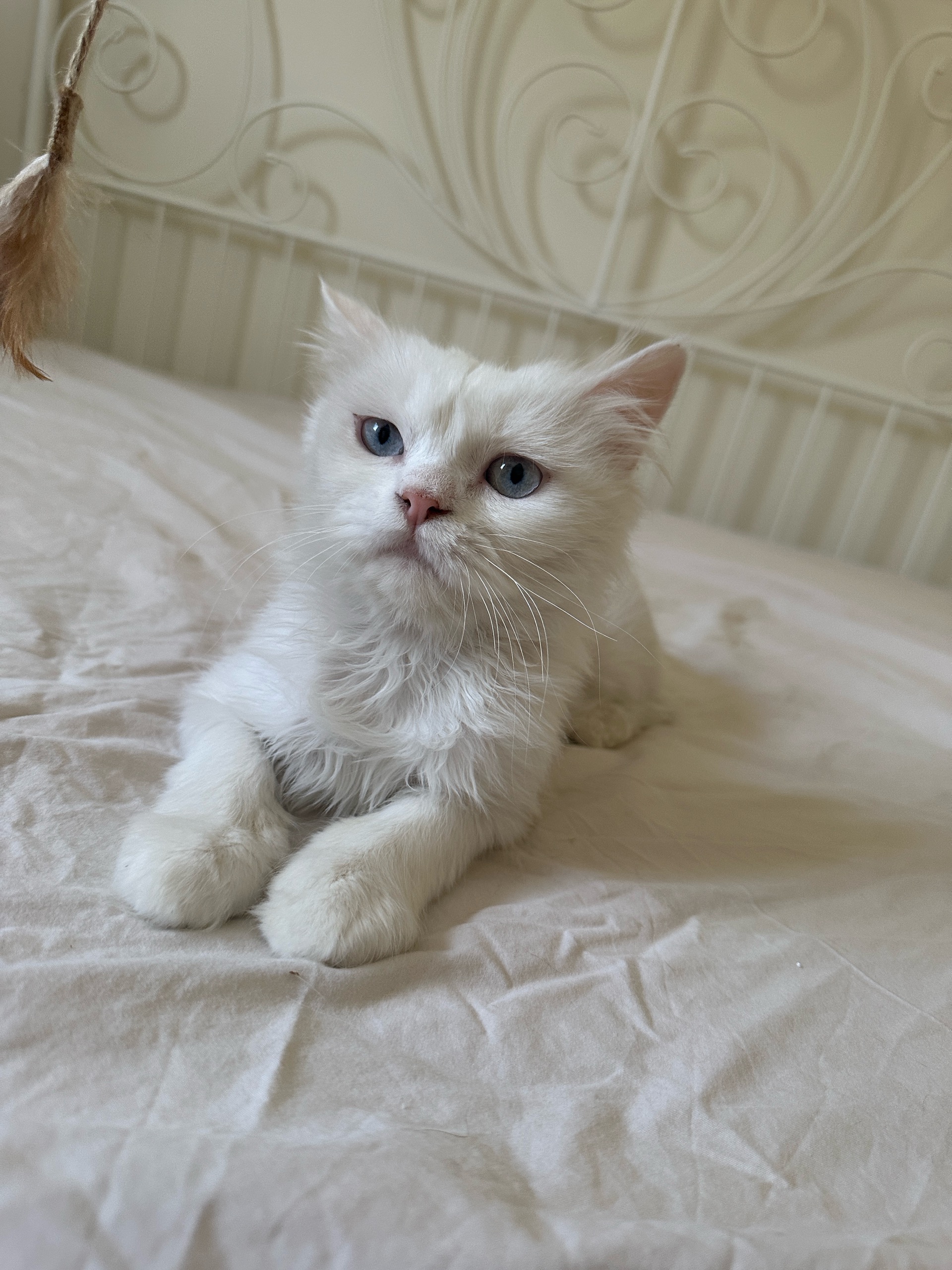 No name yet