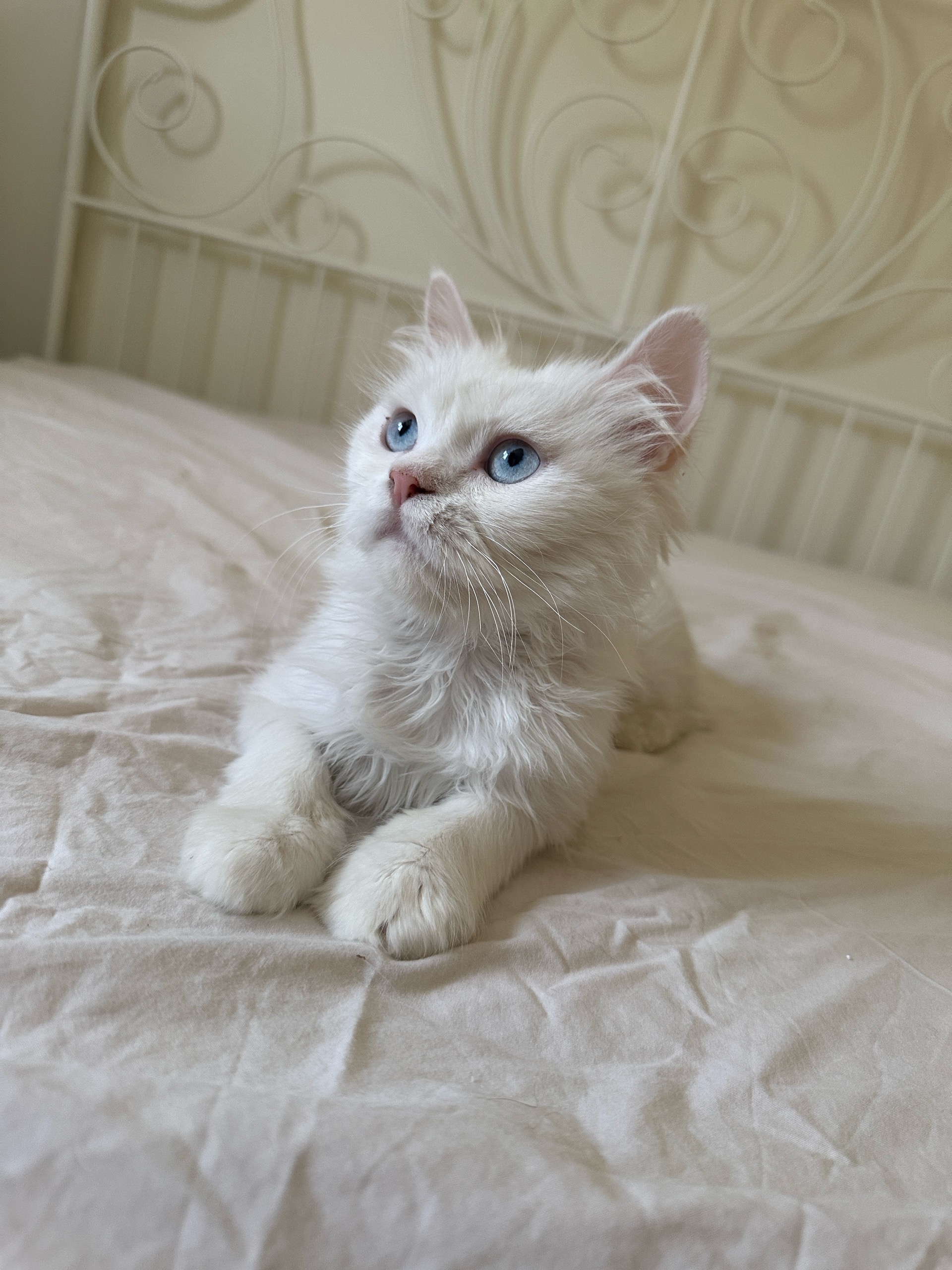 No name yet