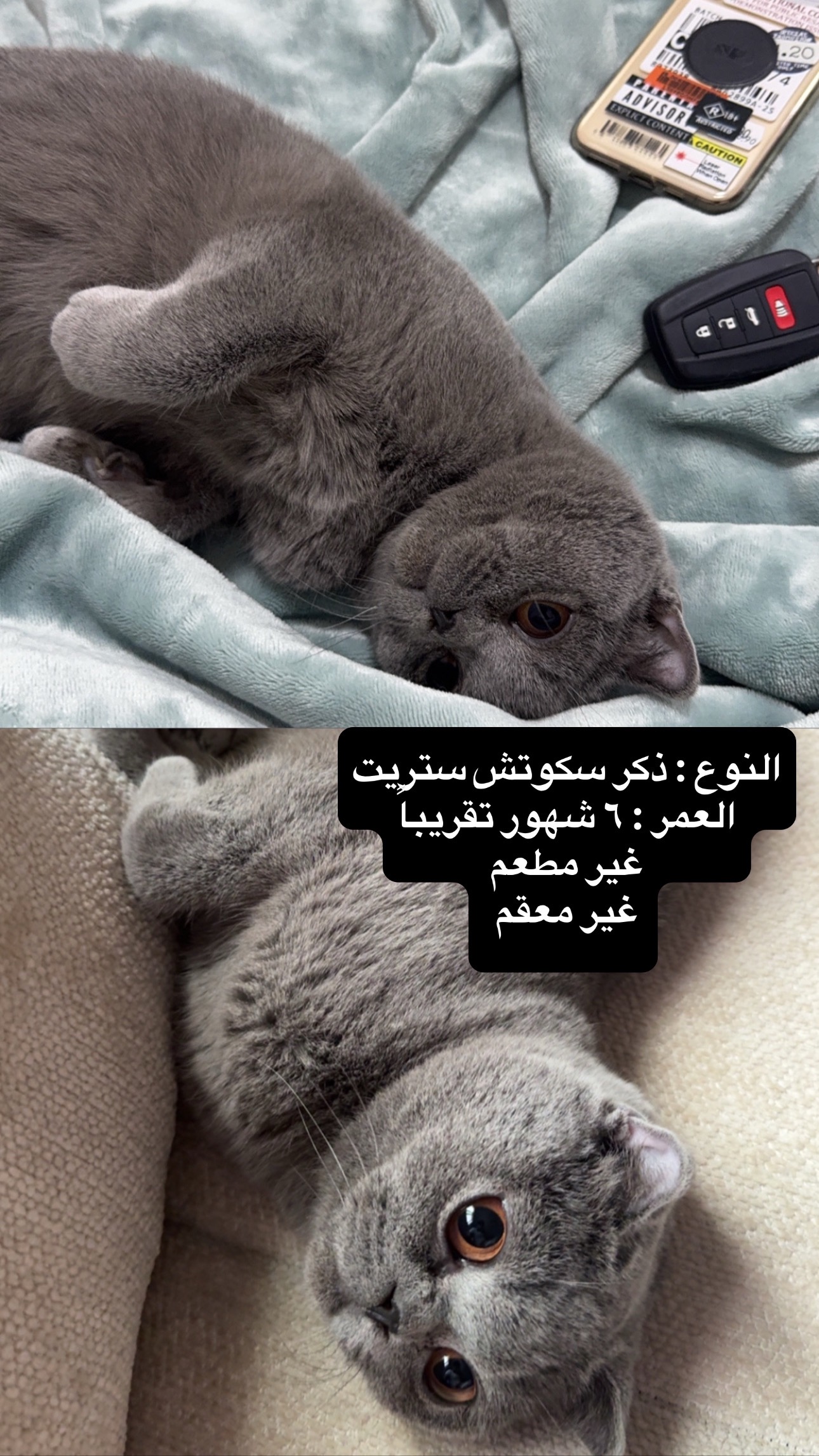 ليو