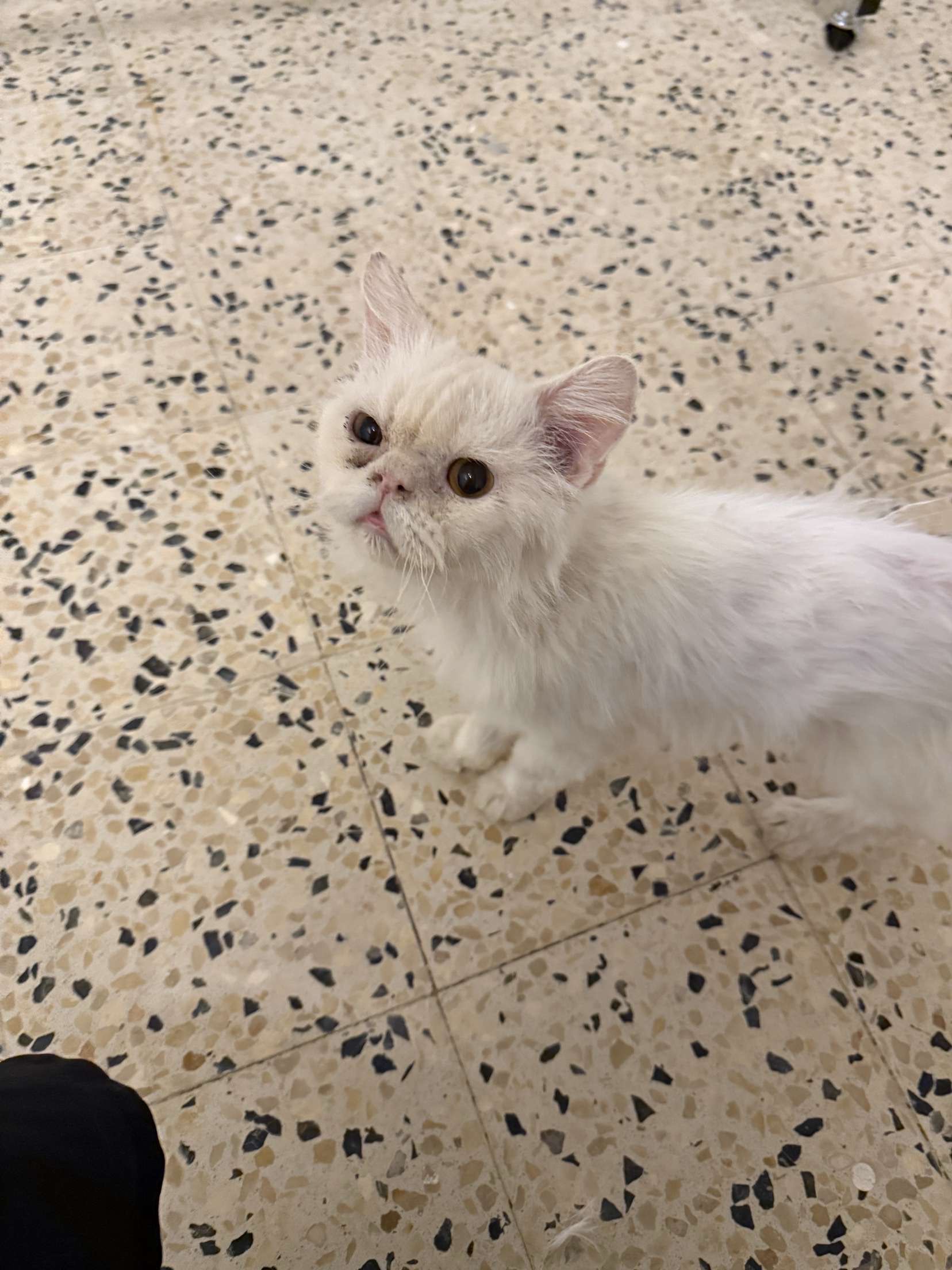 ماله اسم