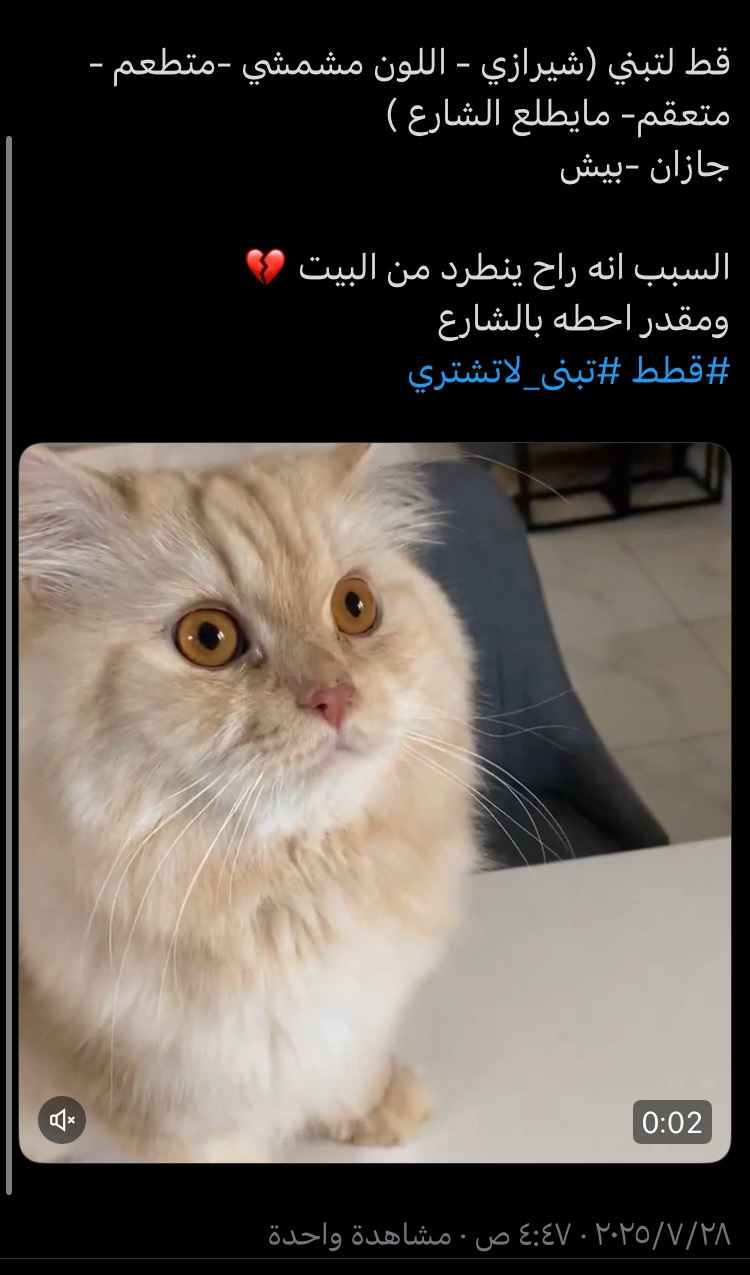 روبن