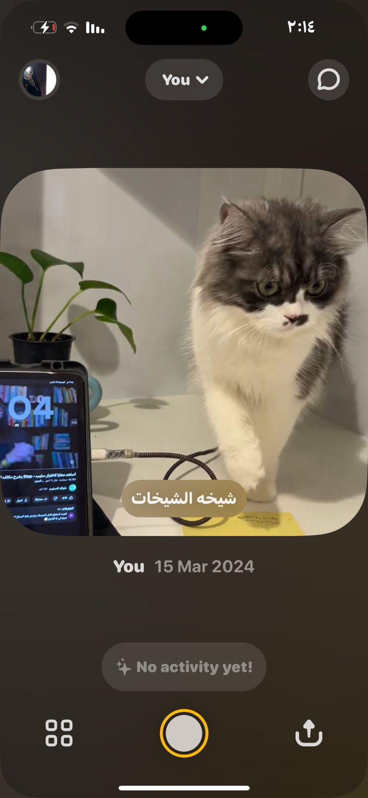 كوكي و زيزو
