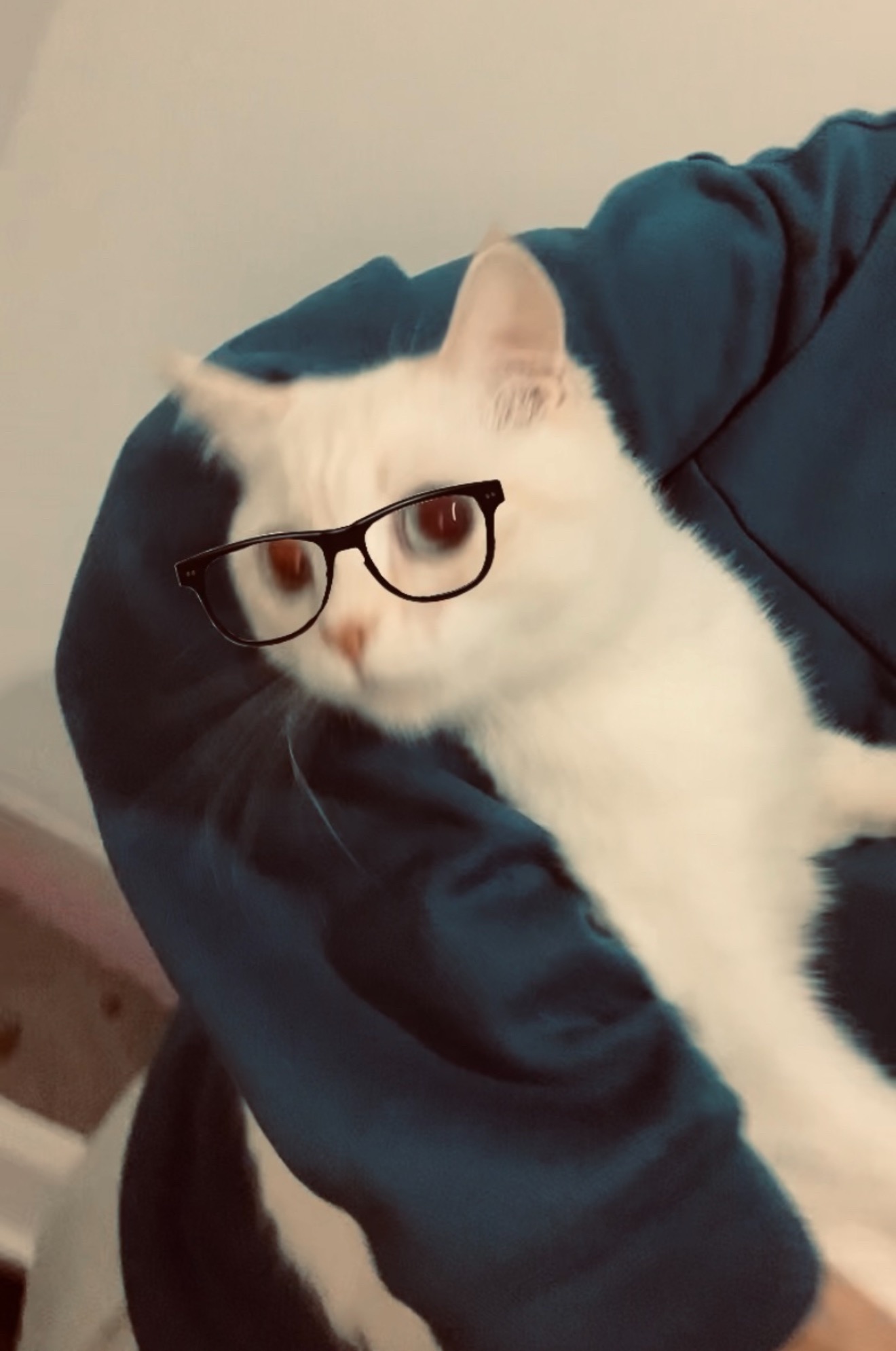 نوتي