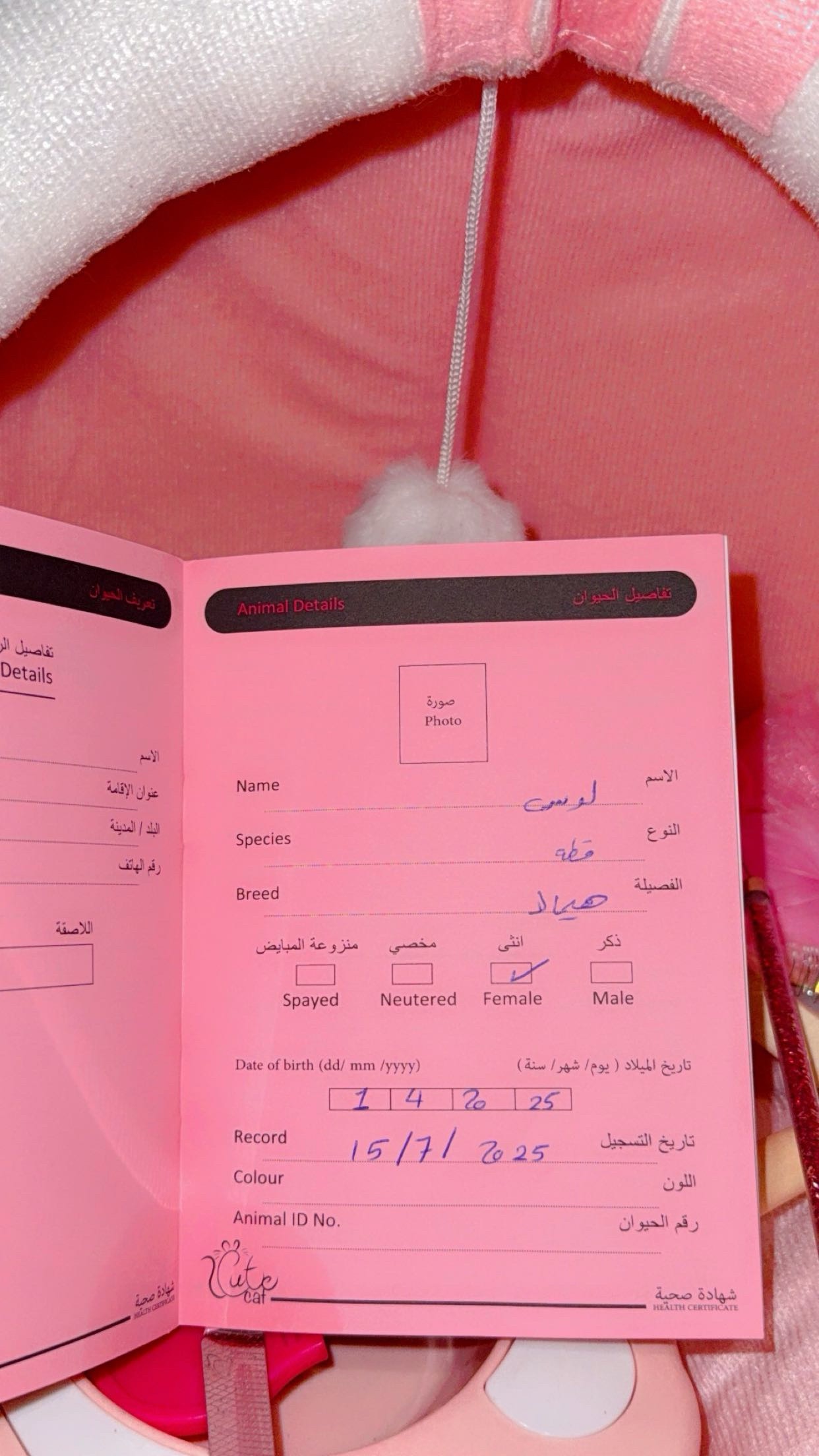 لوسي