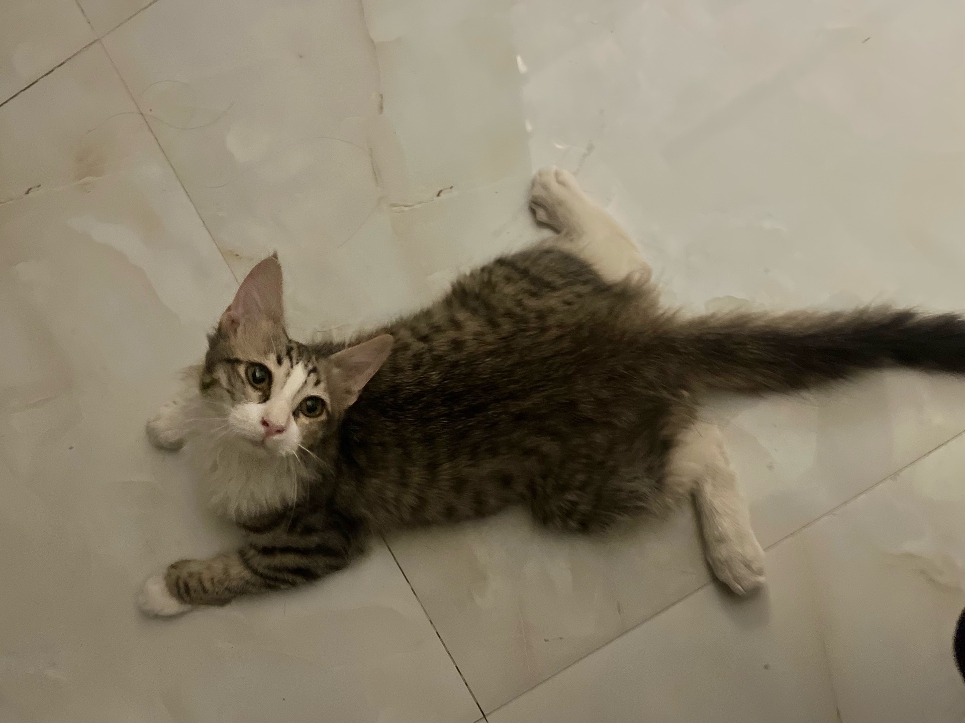Not named yet