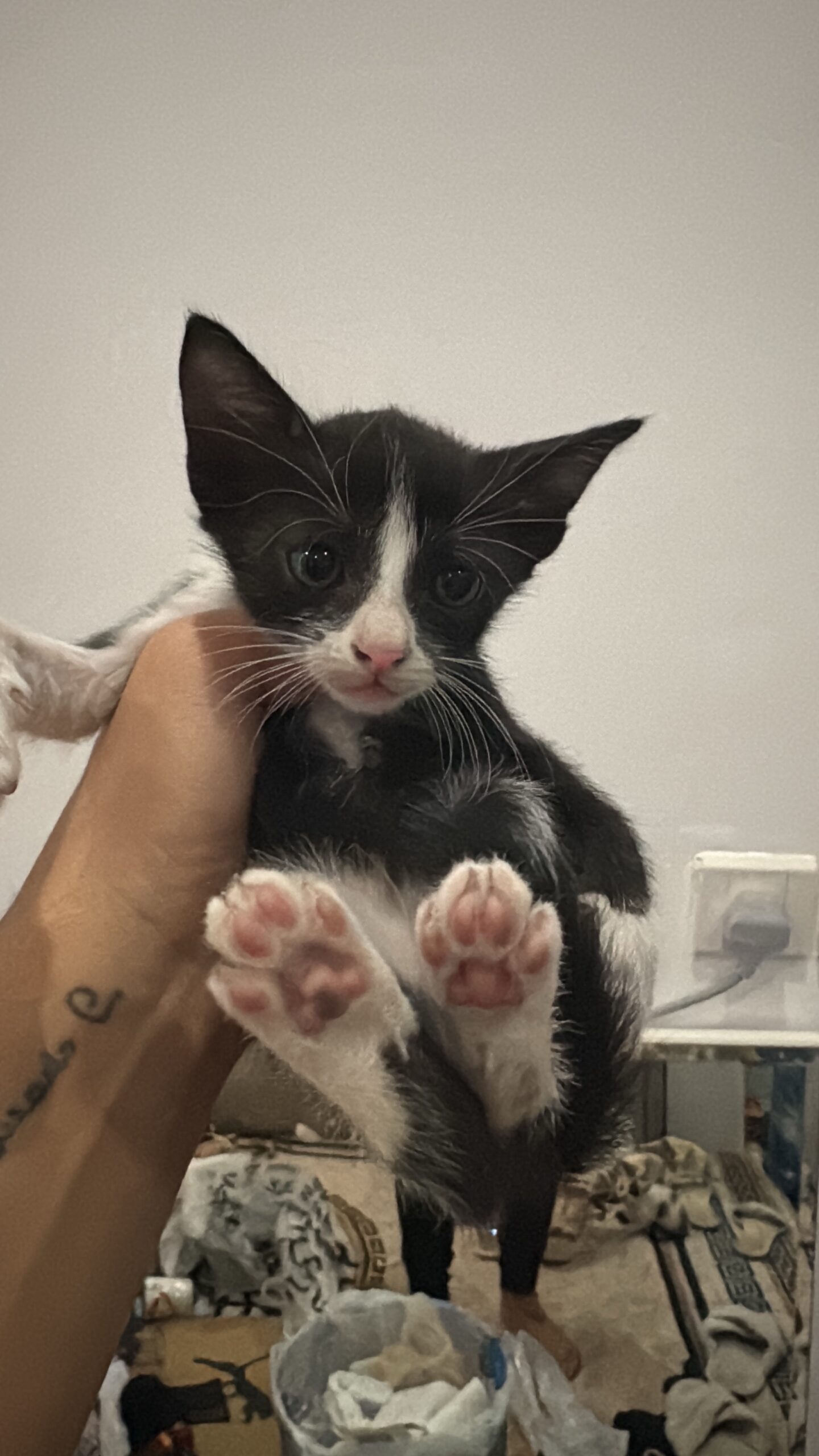 Luna