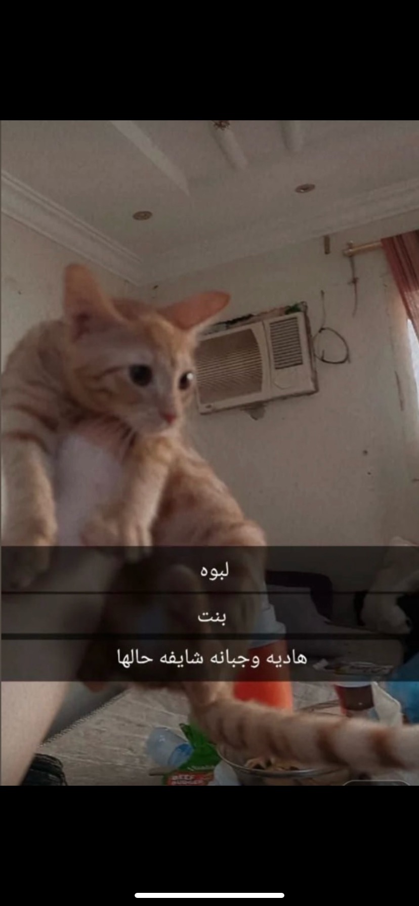 لبوه