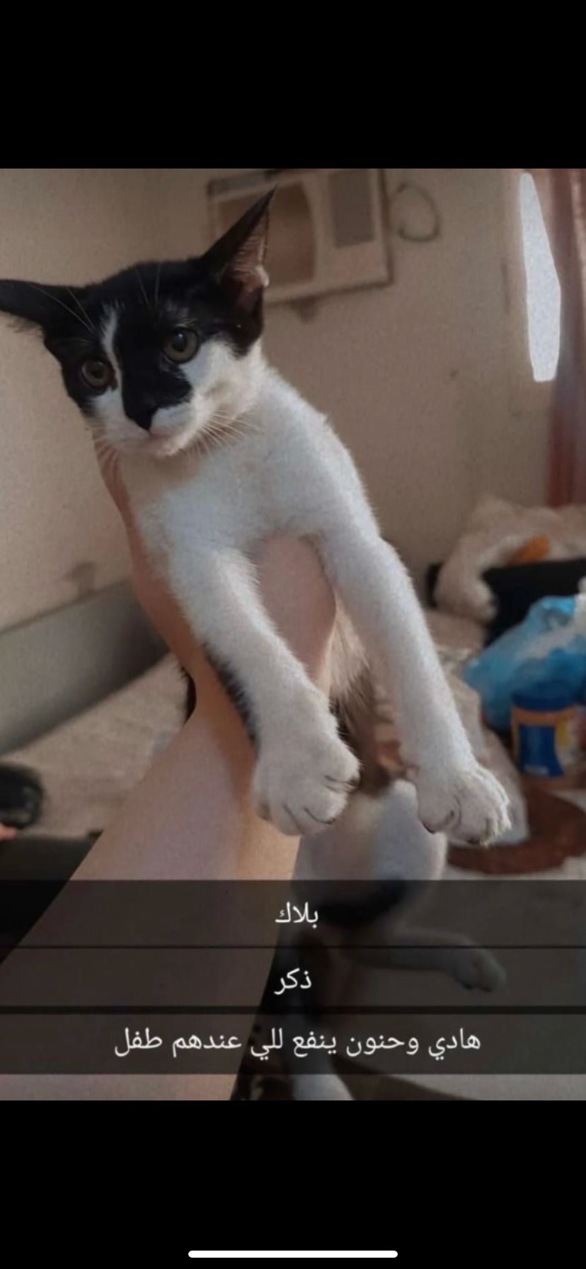 بلاك