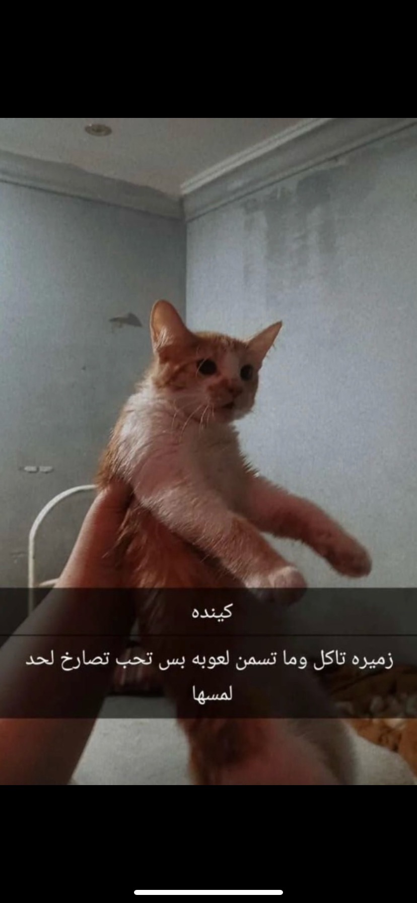 كيندا