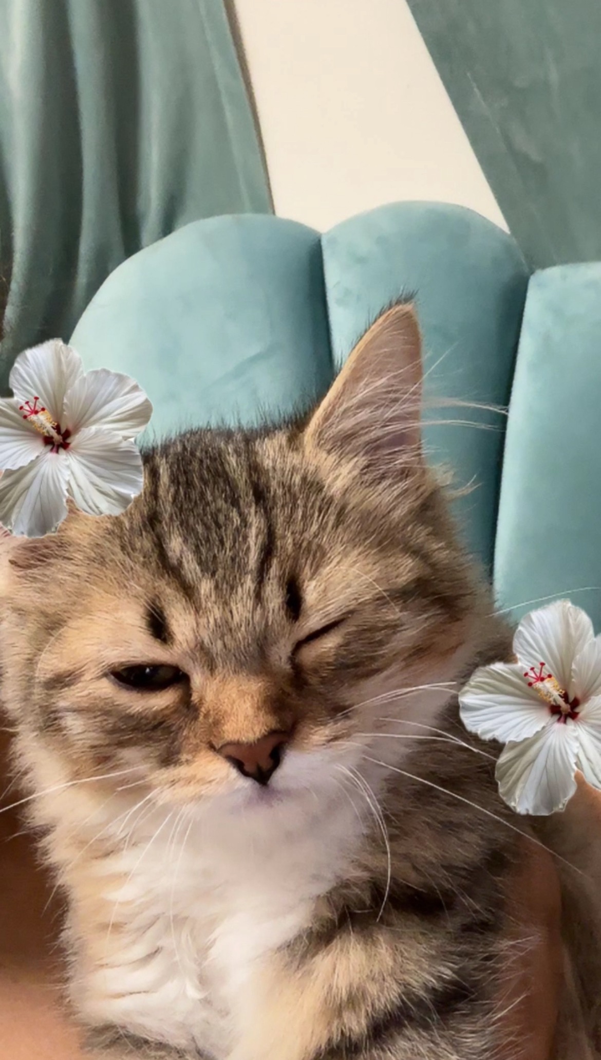 عسل