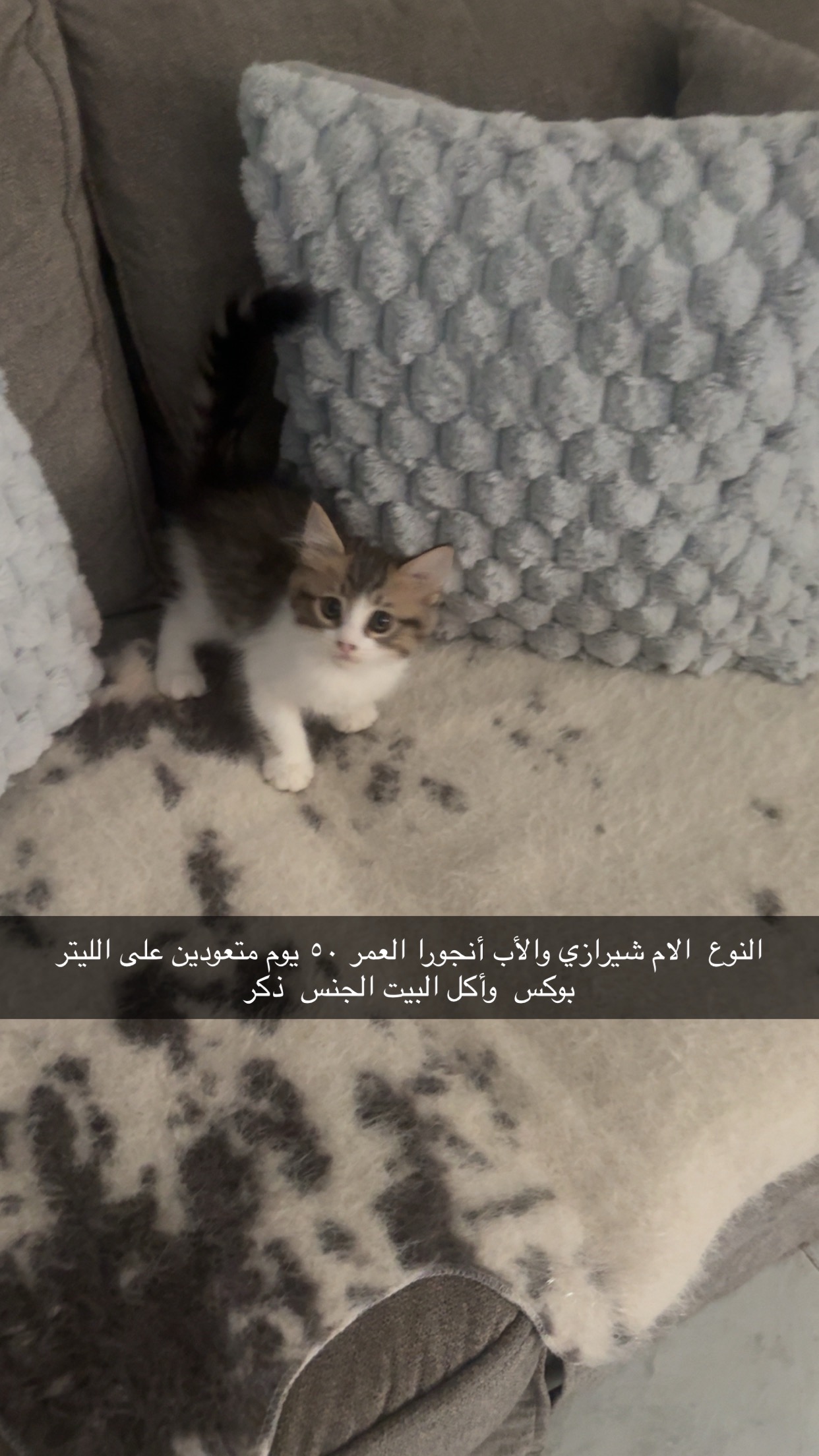لم يتم تسميتهم