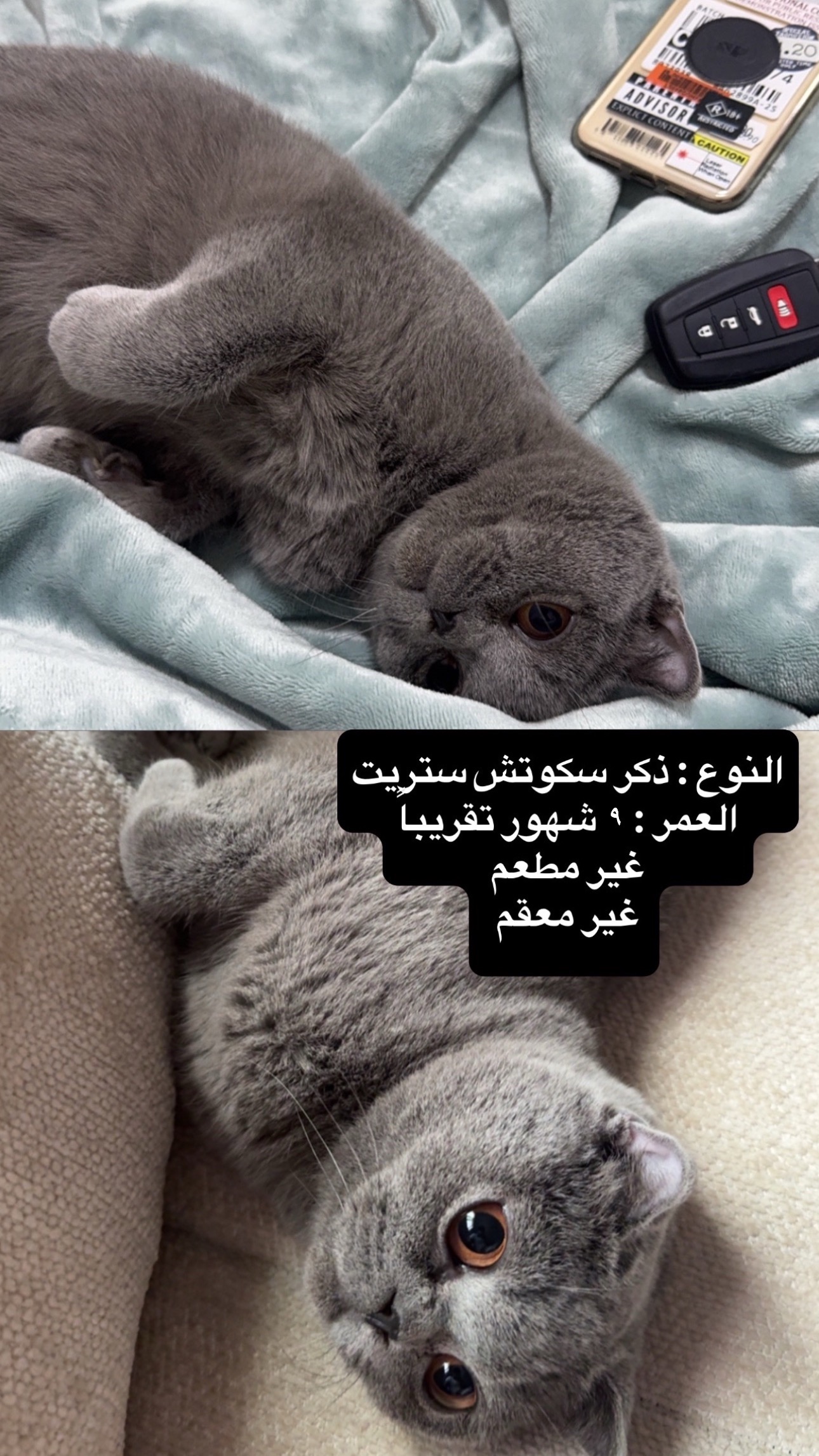 ليو