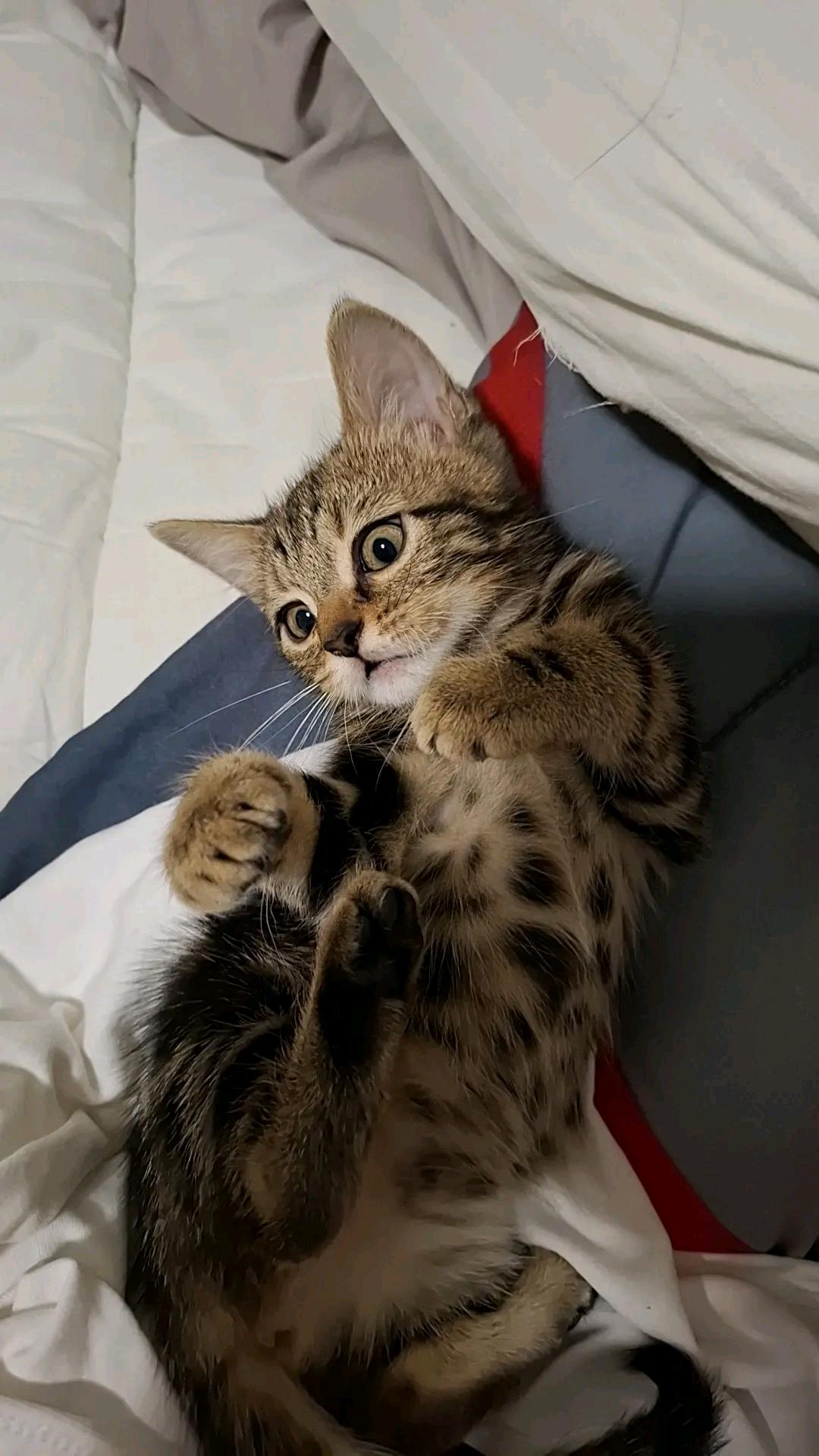 Quinn’s girl