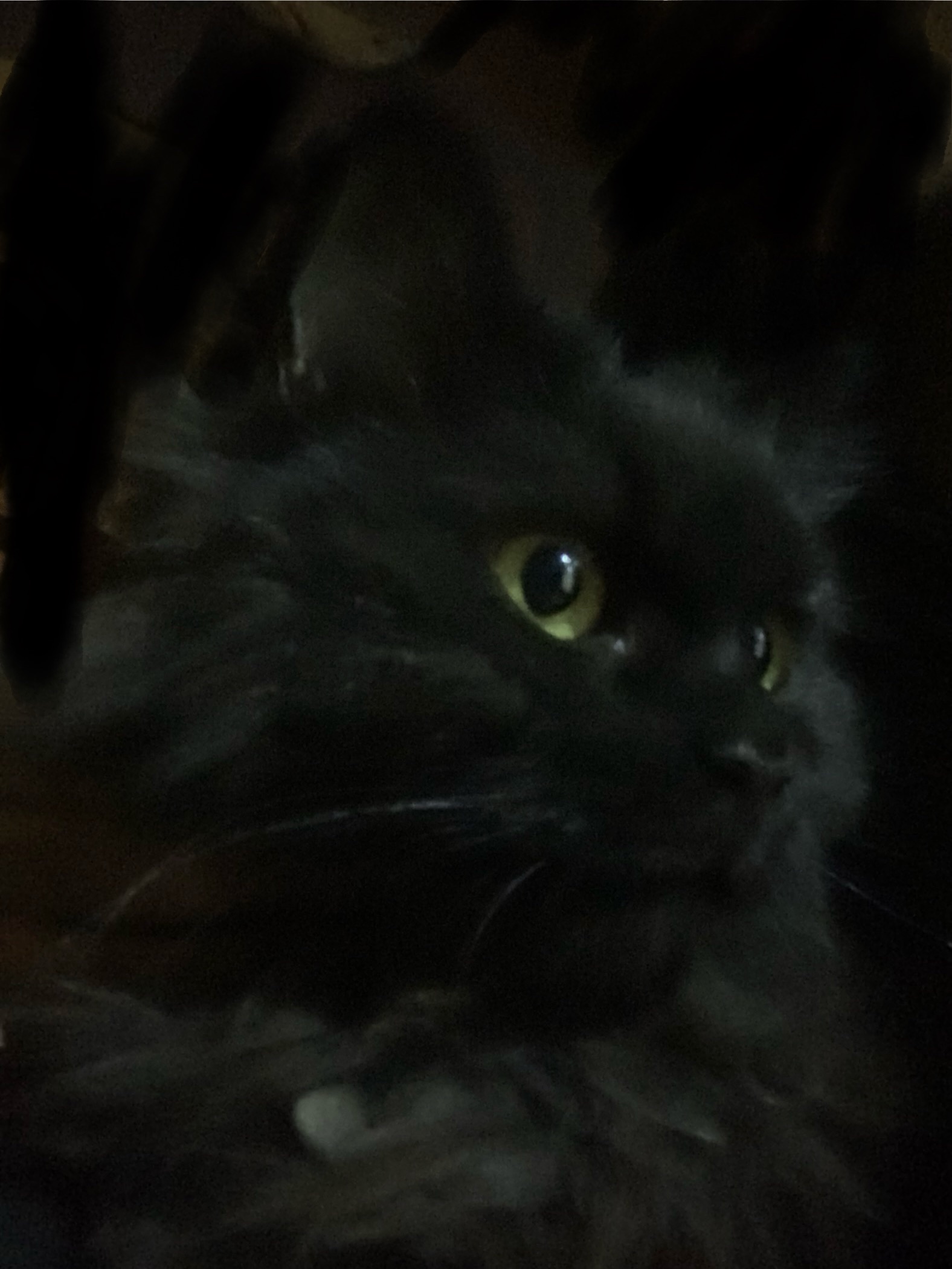 مافي بس أدلعها يا ماما/ي وروحي وقلبي تجيني او تدلع