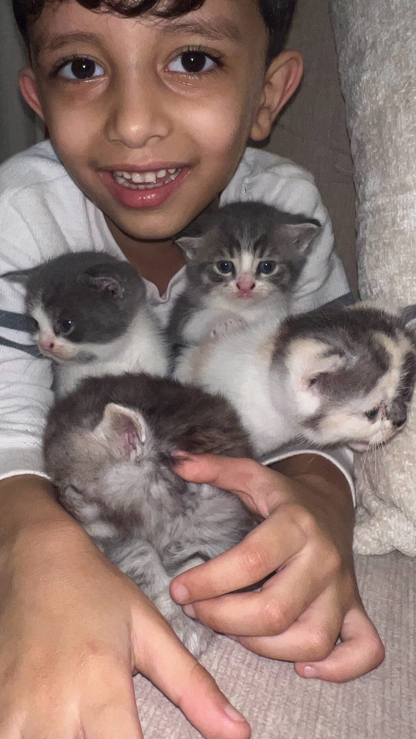 استر . اليستر . باتشينو . ناستيا